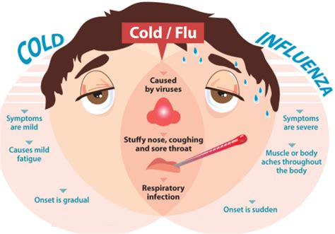 symptoms influenza type a